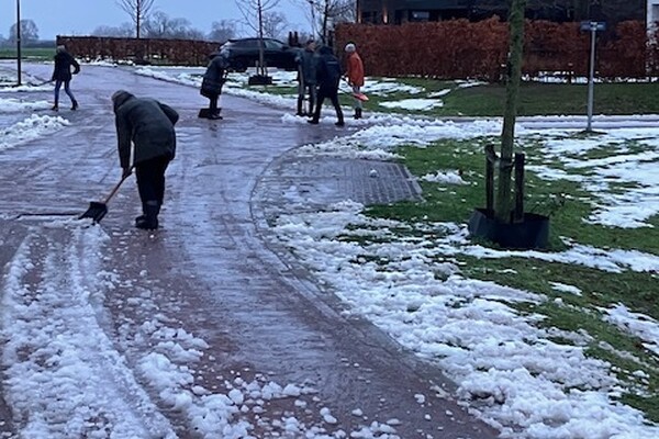 Burenkracht in actie: Parklaan ijsvrij gemaakt